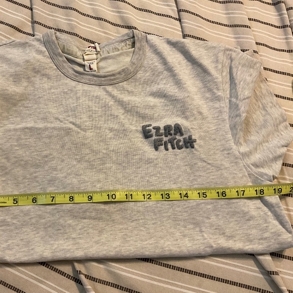 Abercrombie & Fitch Ezra Fitch Large Tee grey/oatmeal - Picture 2 of 3